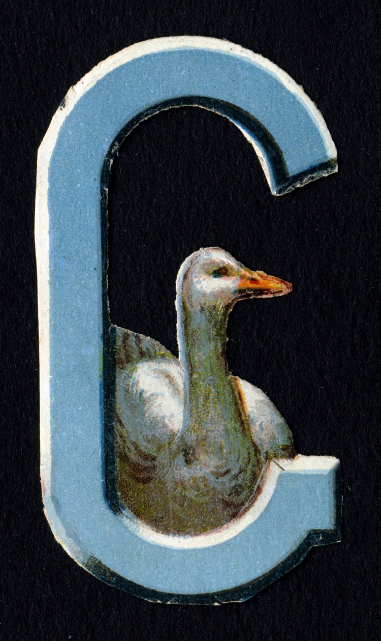 G como o Goose. Decoupis de escaravelho sobre o tema dos animais. Gravura. Série de 26 cromolitógrafos de waffle de origem inglesa. Editor e ilustrador desconhecido. Fim do século XIX. Dim: 5,5x3,5cm. de Unbekannt
