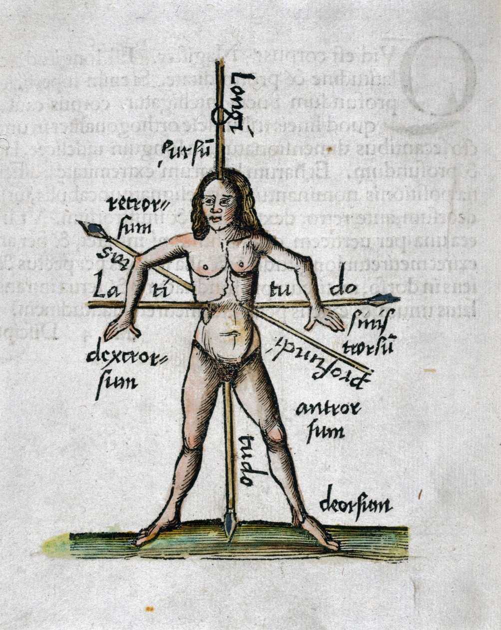 Geografia Século XVI: figura humana representando longitudes e latitudes, seu corpo é atravessado por lanças orientadas de acordo com os ângulos das linhas imaginárias de Unbekannt