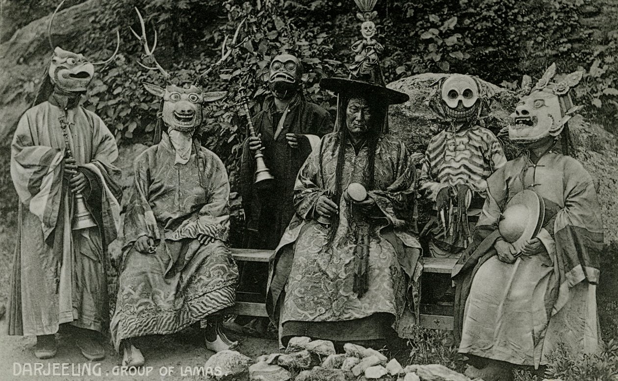 Grupo de Lamas, Darjeeling de Unbekannter Künstler