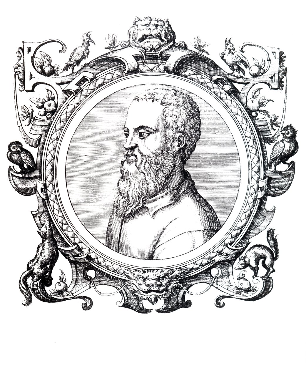 Guillaume Rondelet. de Unbekannt