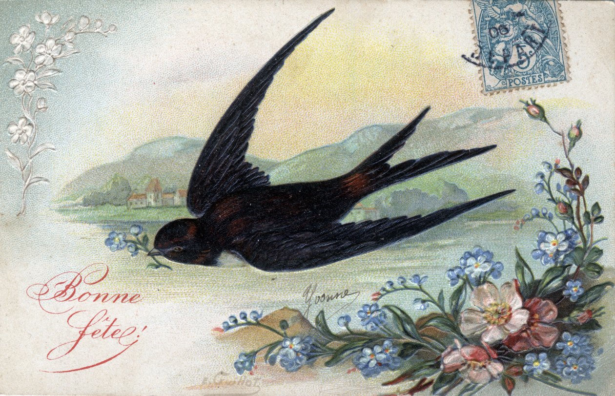 Cartão de Feliz Aniversário: Andorinha trazendo uma flor - Cartão Postal datado de 1906 de Unbekannt