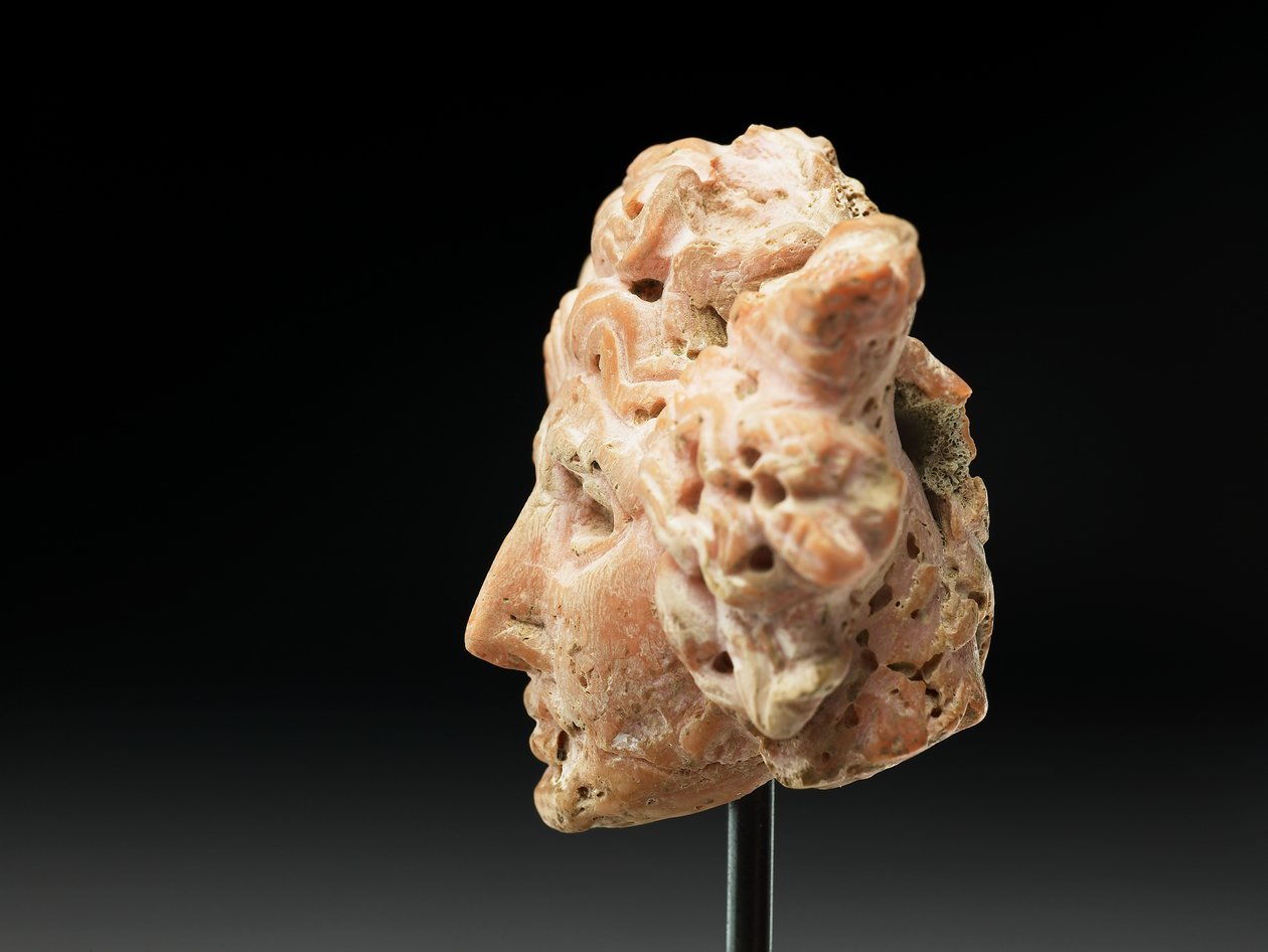 Cabeça da Medusa, de Bactria ou Gandhara, século 2 a 1 a.C. (coral rosa) de Unbekannt