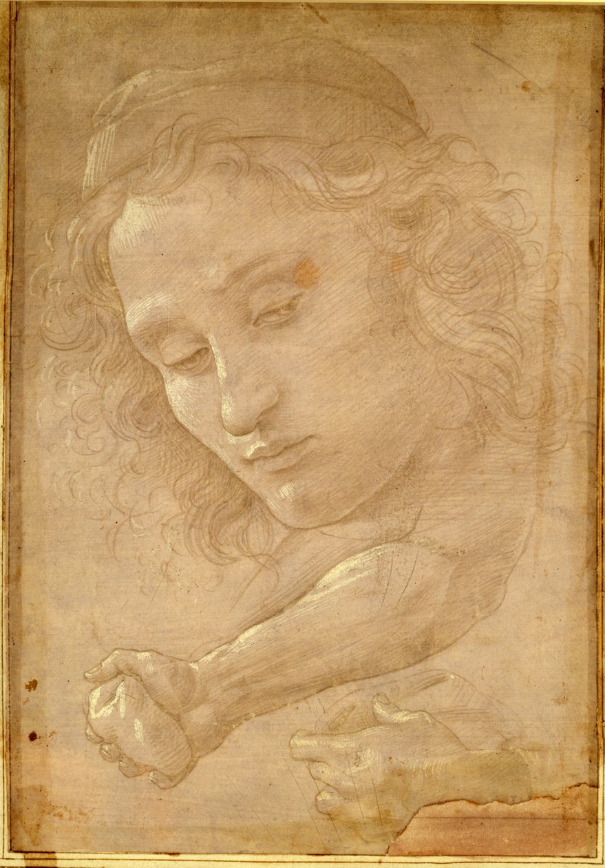 Chefe de uma juventude, extraído de uma página do "Livro dos desenhos", de Georgio Vasari de Unbekannt