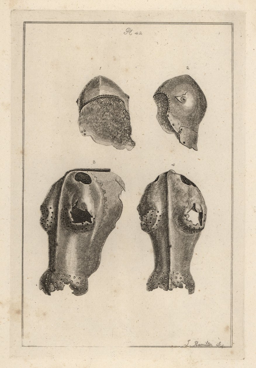 Capacete 1,2, e chanfron de ferro ou chafron 3,4 que pertenceu a Guy, Conde de Warwick. de Unbekannt
