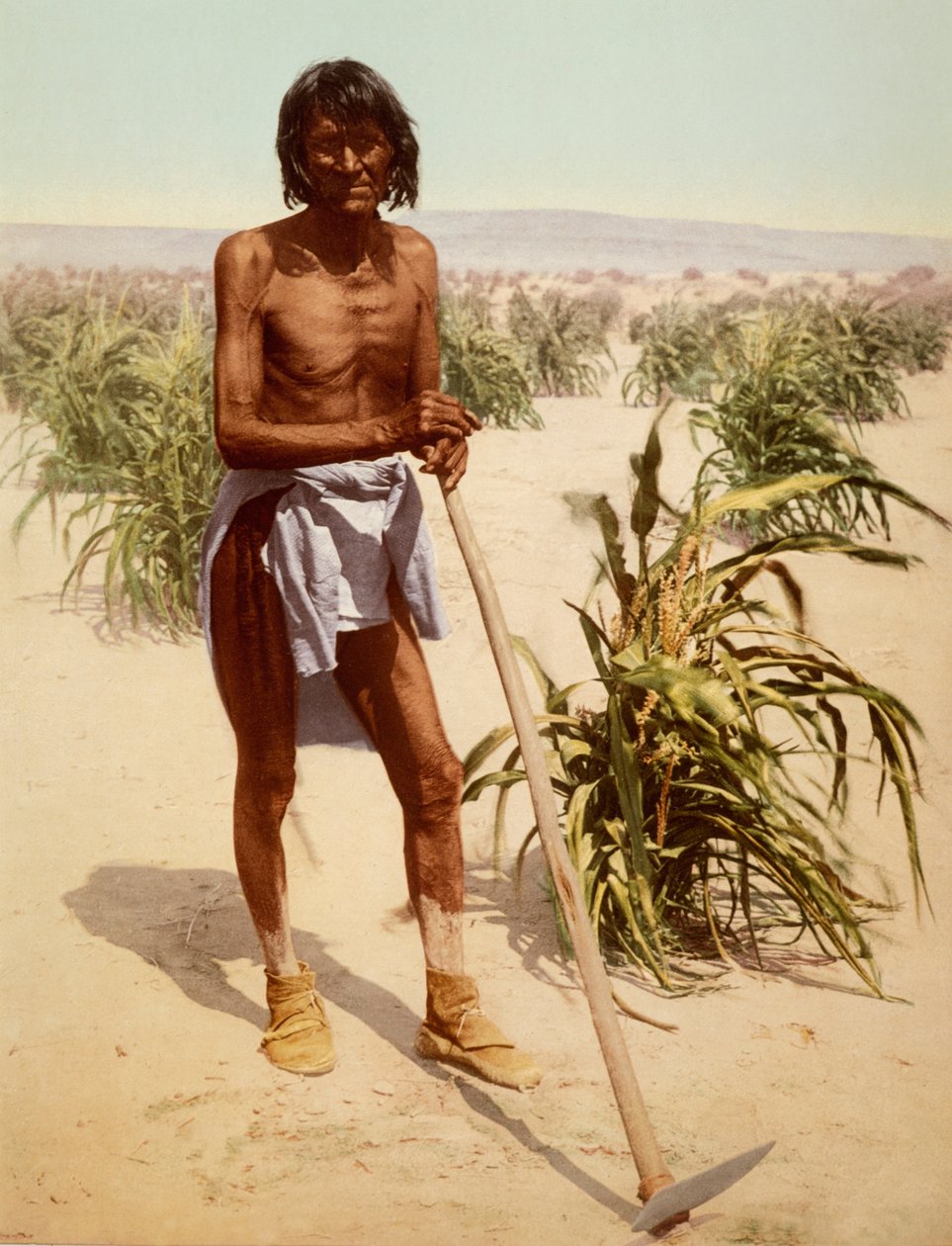 Hopi Man With A Hoe, Arizona de Nicolas Liez
