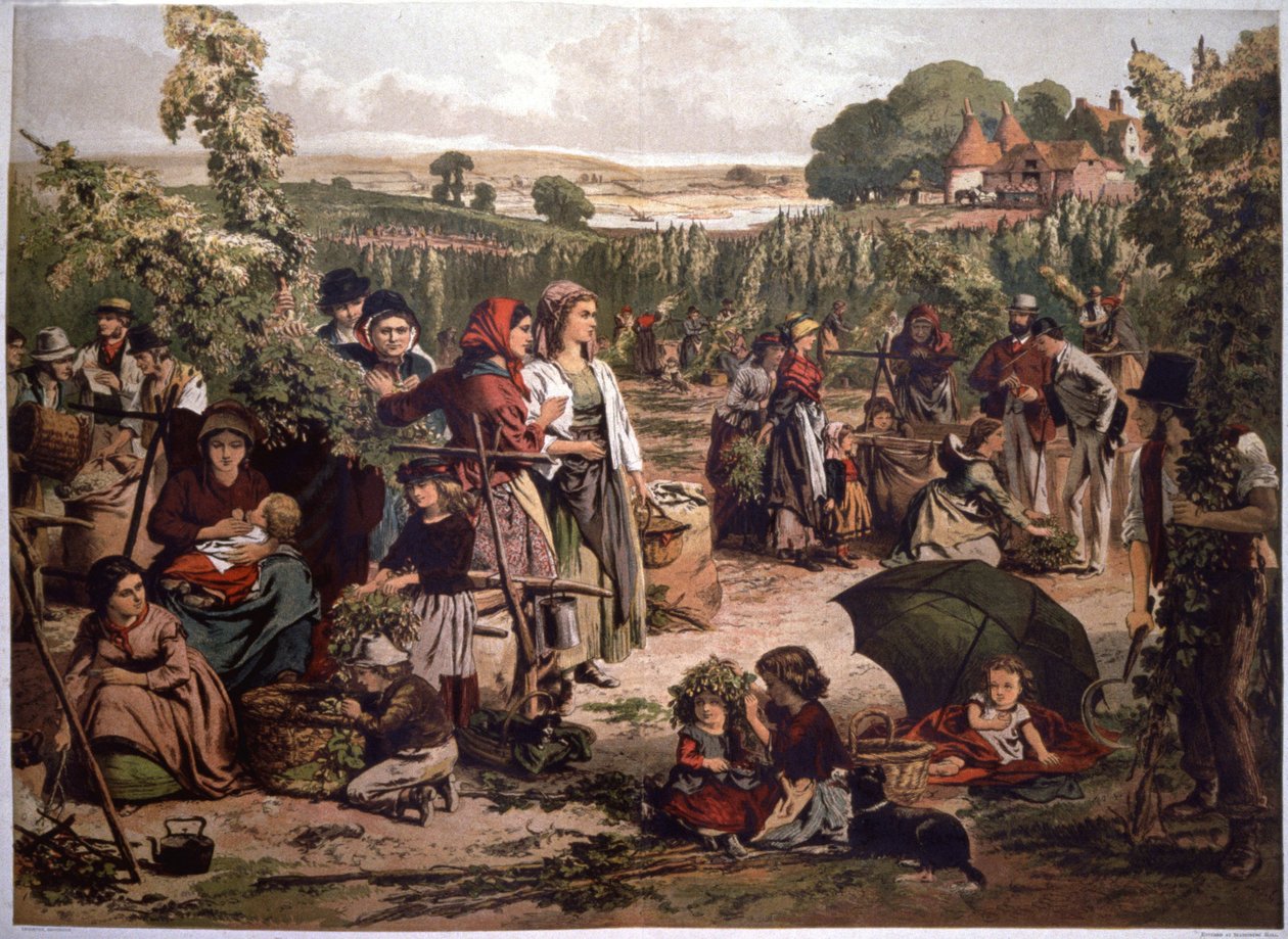 Apanha do lúpulo em Inglaterra, no final do século XIX (ilustração) de Unbekannter Künstler