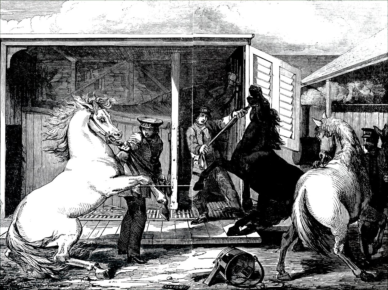 Cavalos na estação de comboios de Gloucester. de Unbekannt