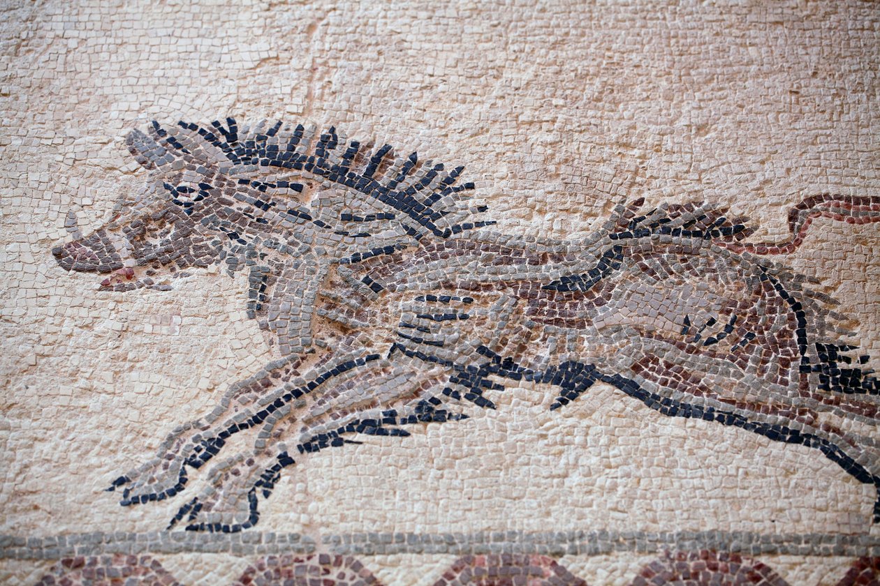 Cena de caça: Um javali - Mosaicos Paphos, Casa de Dionysos - Fim do Século II d.C. - Chipre - Cena de caça: Javali em movimento - Mosaicos de Paphos, Casa de Dionysos - Fim do Século II d.C. - Site da UNESCO, Chipre de William M. Timlin