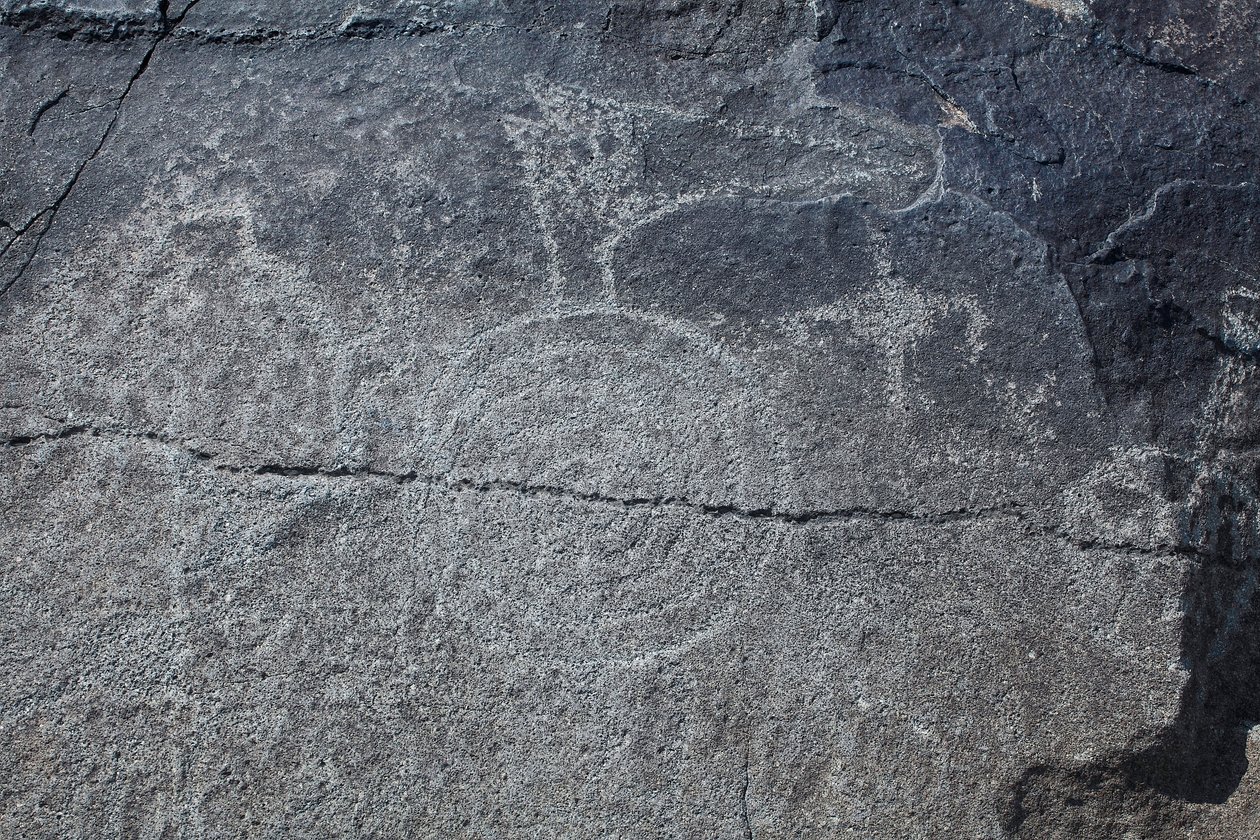 Petroglifos Indianos - Representação Simbólica e Animal - Petroglyph National Monument - Albuquerque, Novo México, EUA (EUA) de William M. Timlin