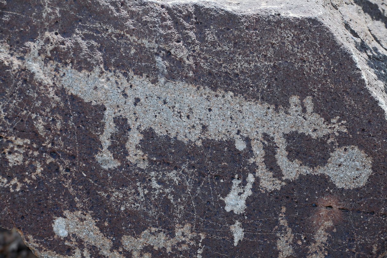 Petroglifos indianos representando animais - Petroglyph National Monument - Albuquerque, Novo México, EUA (EUA) de William M. Timlin