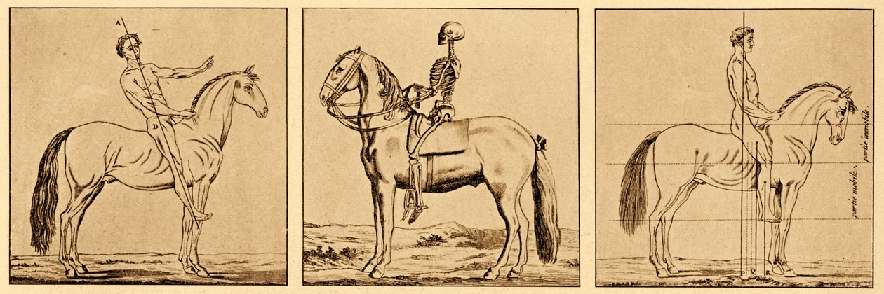 Instruções sobre a postura a cavalo de Unbekannter Künstler