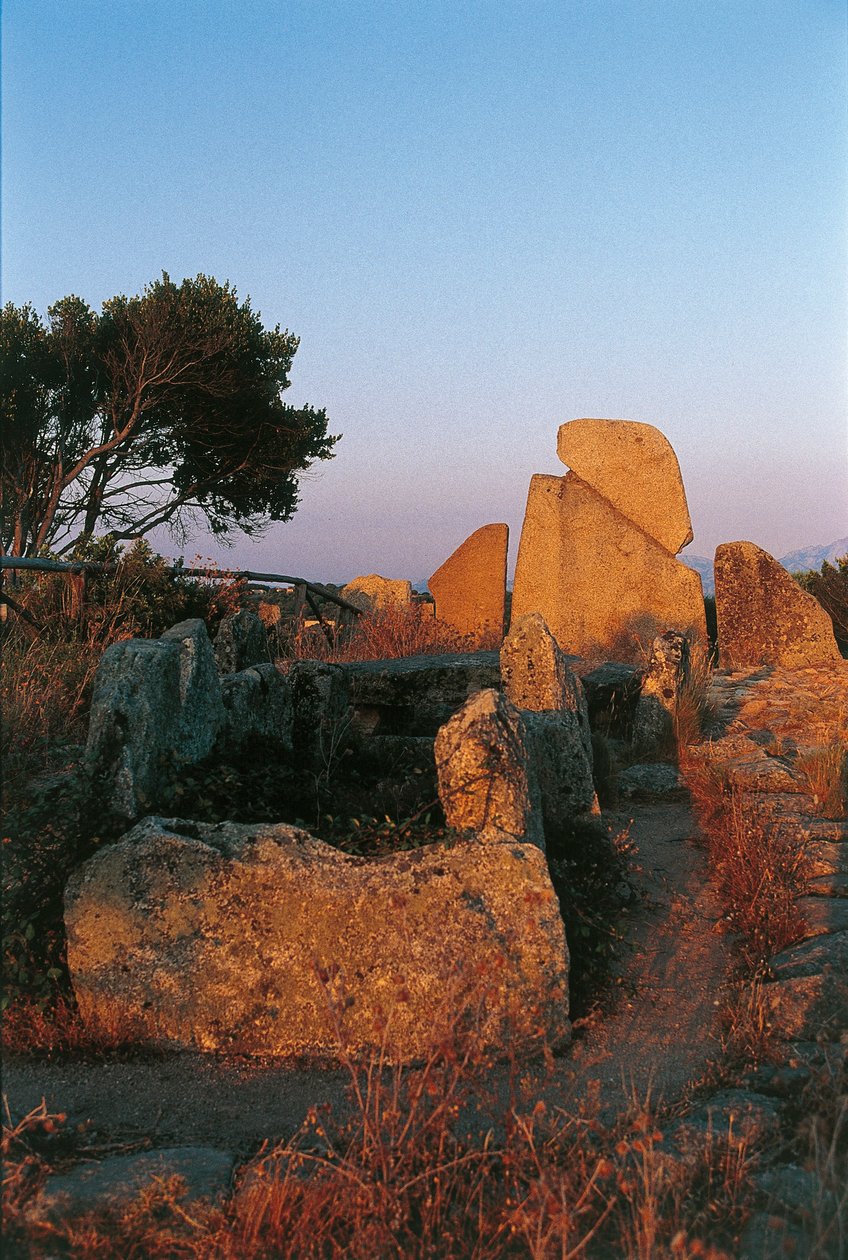 Itália, Sardenha, Arzachena, província de Olbia-Tempio, túmulo de Li Longhi Giants, vista traseira de Nicolas d