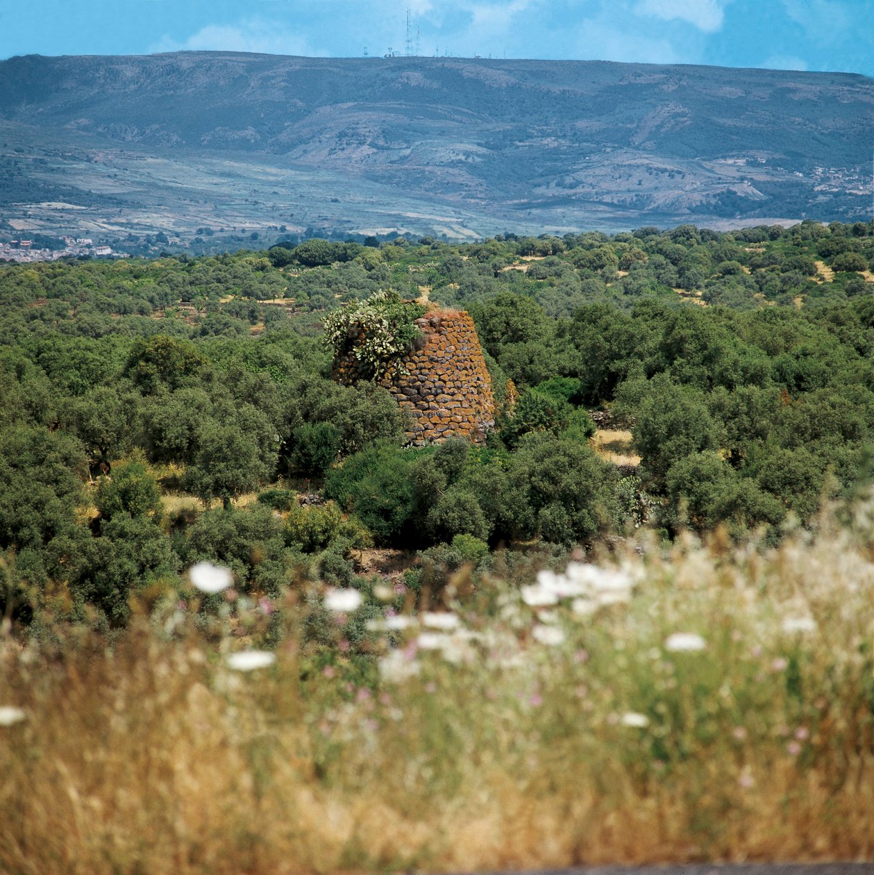 Itália, Região da Sardenha, Província de Oristano, Nuraghe Crabia de William M. Timlin