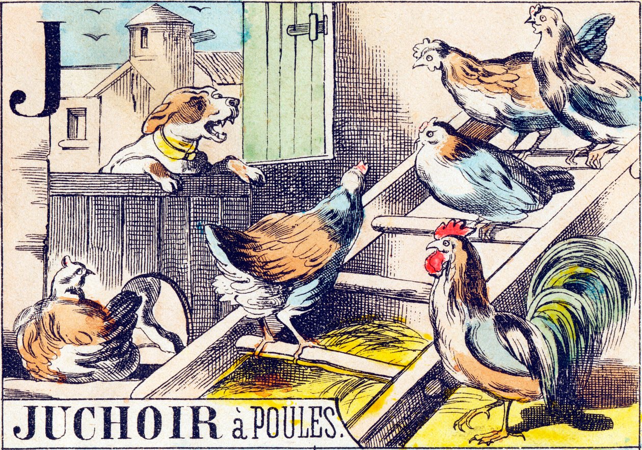 J Juchoir a poules - "Alfabeto da fazenda" final do século XIX (gravura) de Unbekannt
