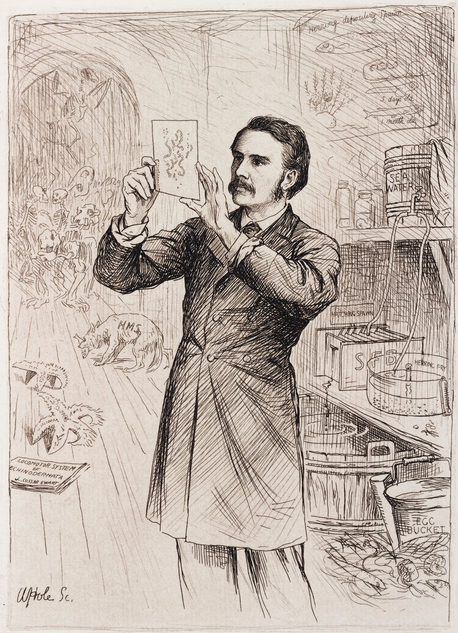 James Cossar Ewart, zoólogo de Unbekannt