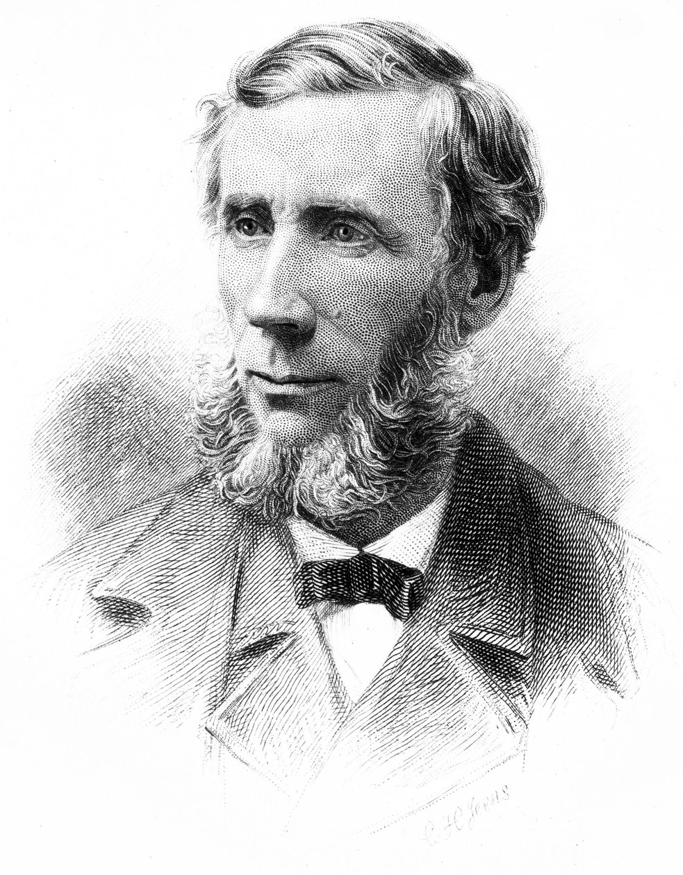 John Tyndall , físico britânico, c 1880s de Unbekannt