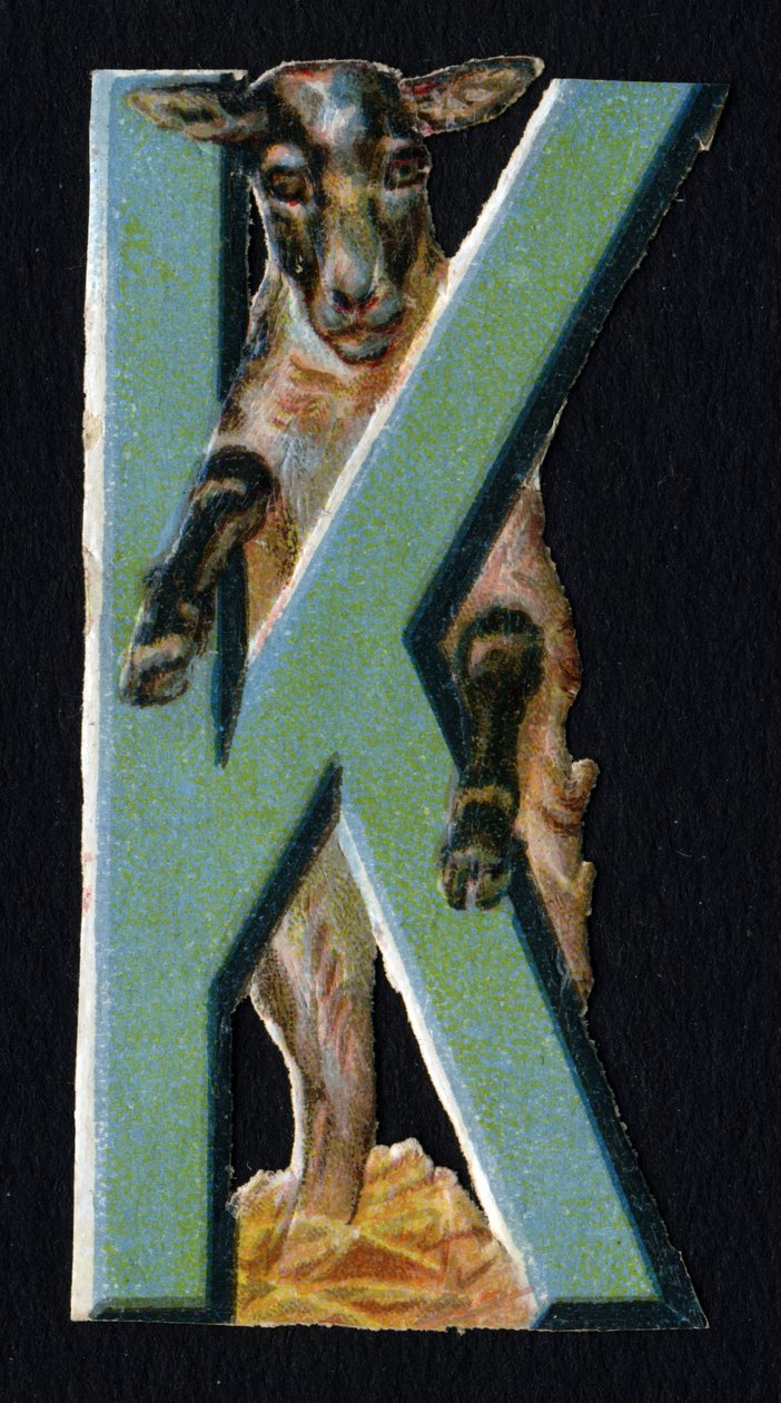 K como Karakul . Decoupis de besouro sobre o tema dos animais. Gravura. Série de 26 cromolitógrafos de waffle de origem inglesa. Editor e ilustrador desconhecido. Fim do século XIX. Dim: 5,5x3,5cm. de Unbekannt