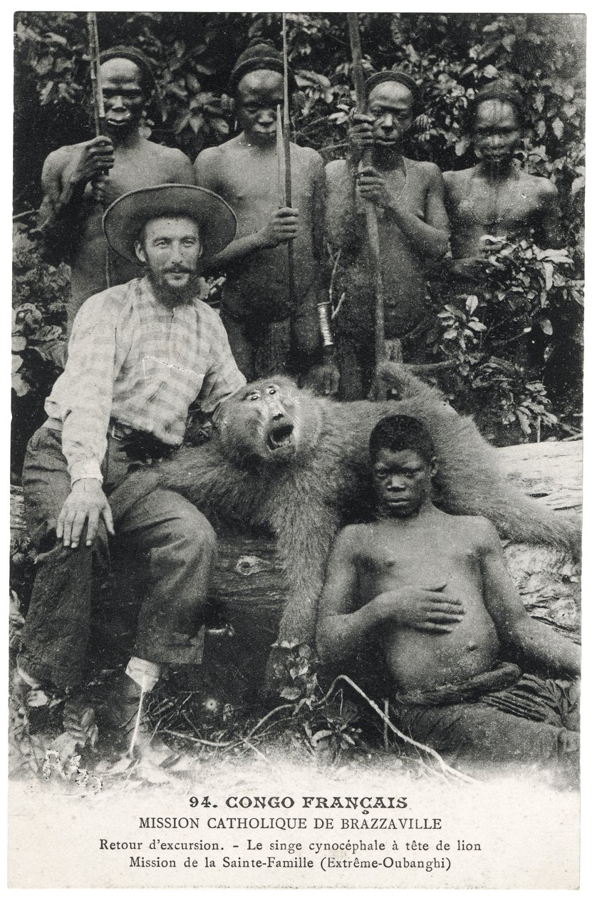 O macaco-citocefálico de cabeça de leão, c.1910 (litho) de Unbekannt