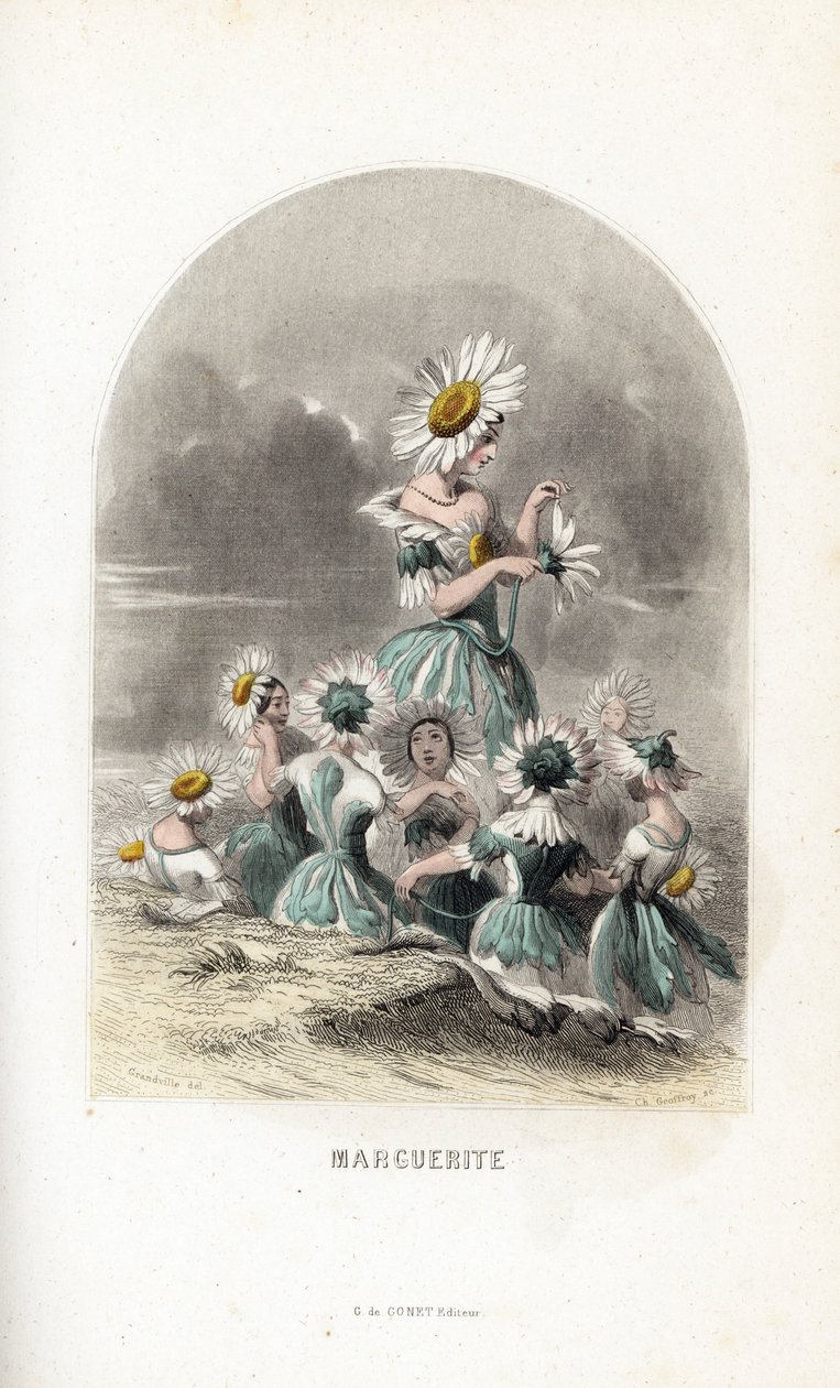 Les fees des daisies des pres, encimados por chapéus de flores, um deixa as pétalas de uma margarida - Eau forte de Charles Geoffroy (1819-1882), segundo uma ilustração de Jean Ignace Isidore Gerard dit J.J.Granville (1803-1847), para Les fleurs animees de Unbekannter Künstler