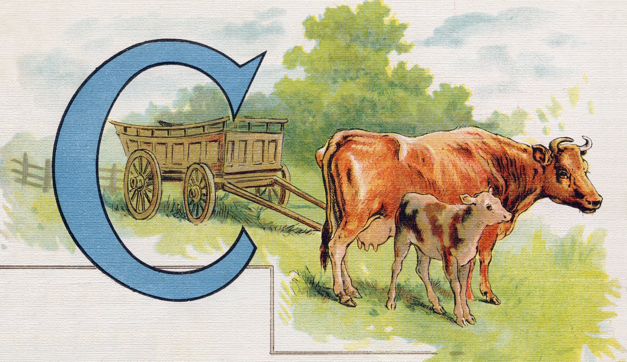 Carta C: Transporte. Gravação em "ABC L