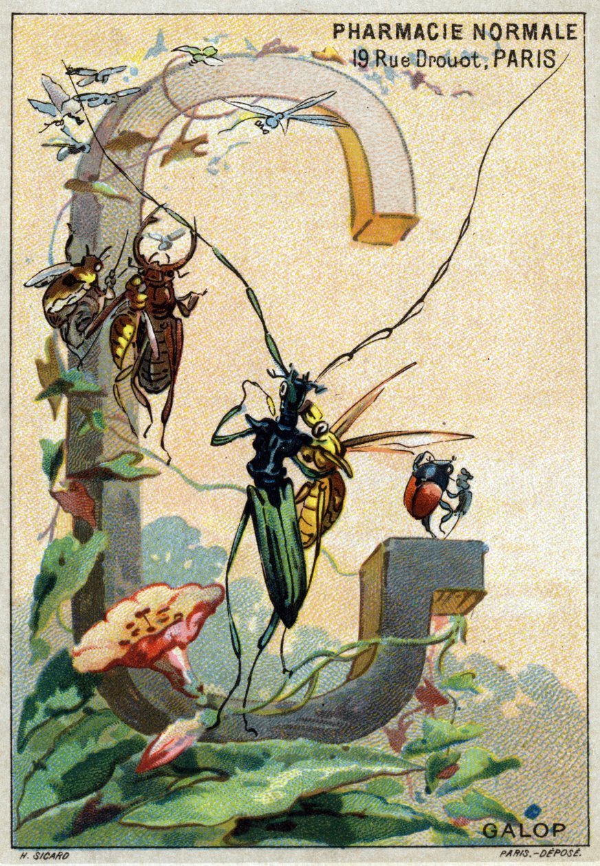 Carta G como Galop. O alfabeto artístico do Sr. Marinier. Editado por Henry Sicard, finais do século XIX. Cromolitógrafos publicitários para produtos vendidos em farmácias. Dim: 12,5 x 9 cm de Unbekannt