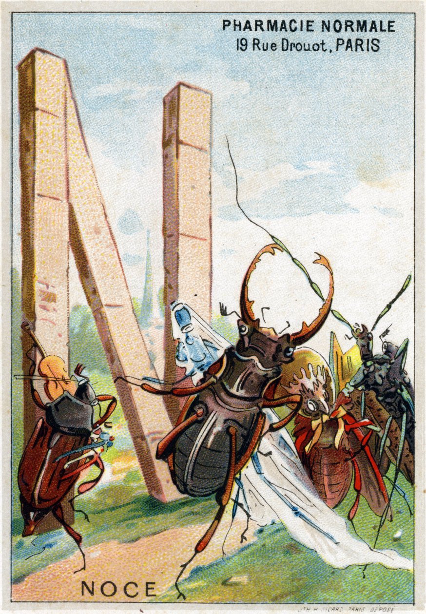 Carta N como um casamento. O alfabeto artístico do Sr. Marinier. Editado por Henry Sicard, finais do século XIX. Cromolitógrafos publicitários para produtos vendidos em farmácias. Dim: 12,5 x 9 cm de Unbekannt