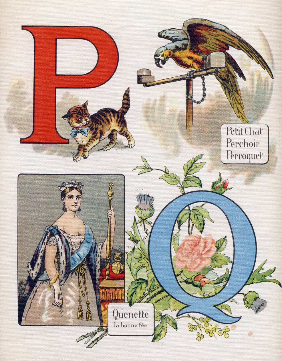 Carta P e Q: gato pequeno, poleiro, papagaio e quenet, a taxa certa. Gravação em "ABC L