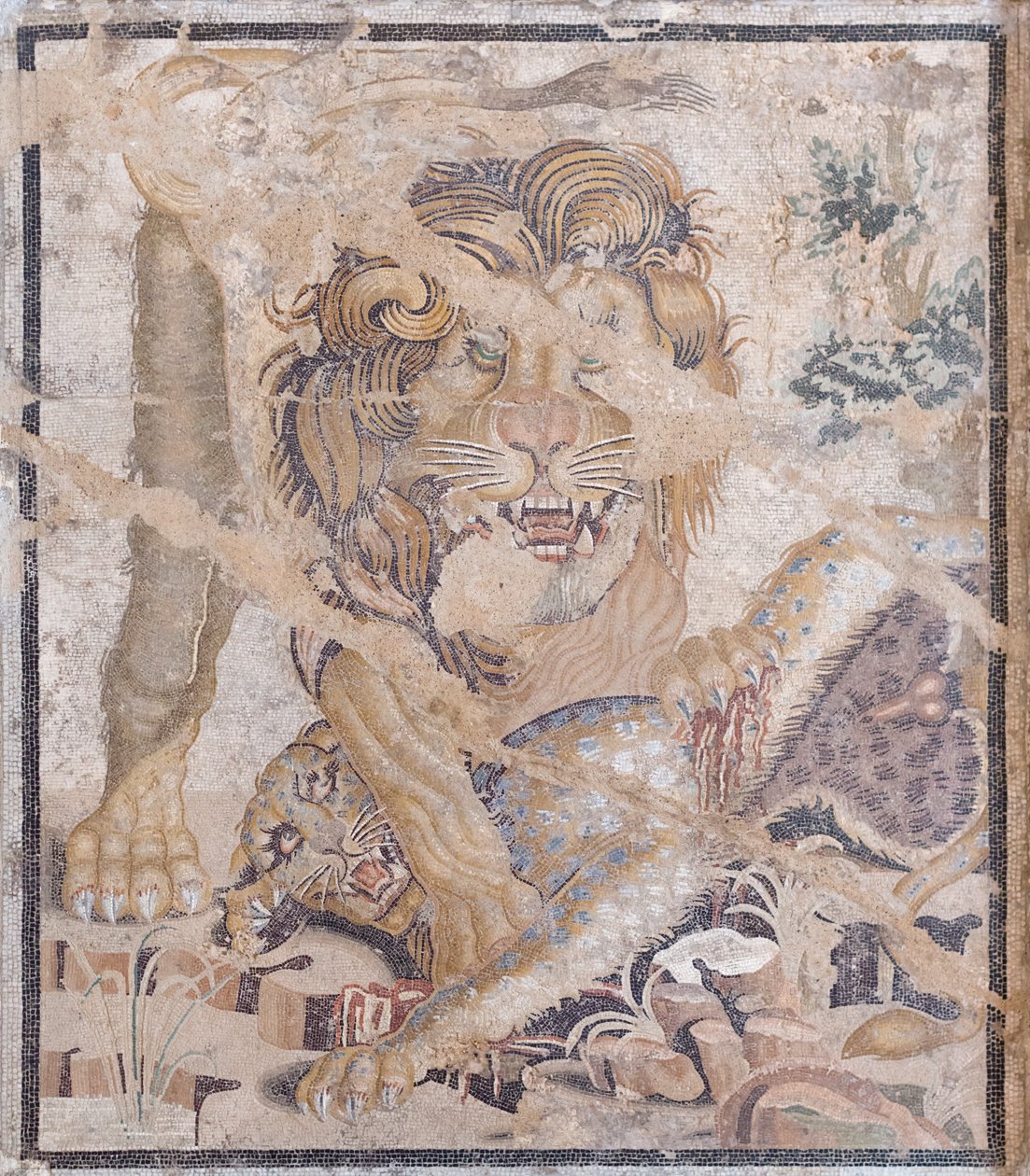 Leão e leopardo (mosaico) de Unbekannter Künstler