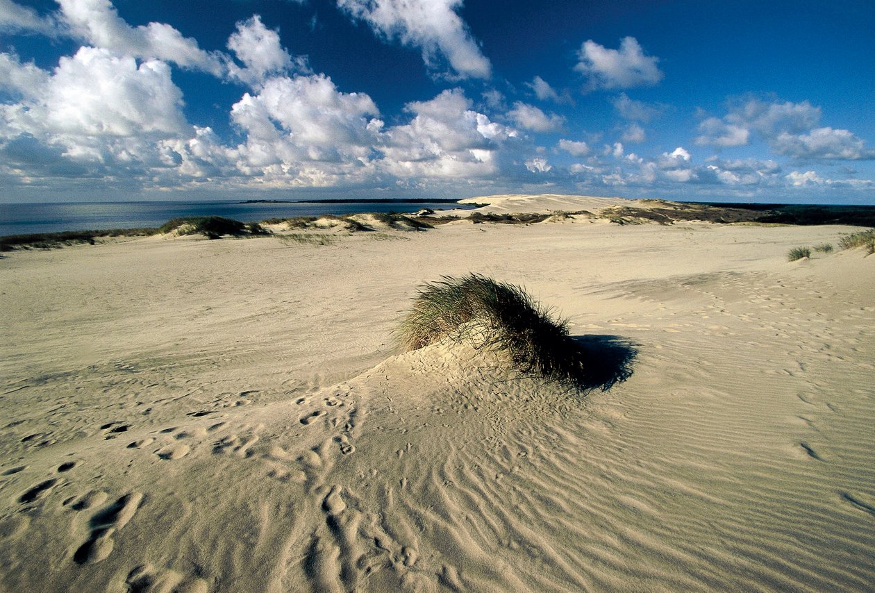 Lituânia, Klaipeda, Curonian Spit, Nida, dunas de areia em movimento chamadas Prussian Sahara de William M. Timlin