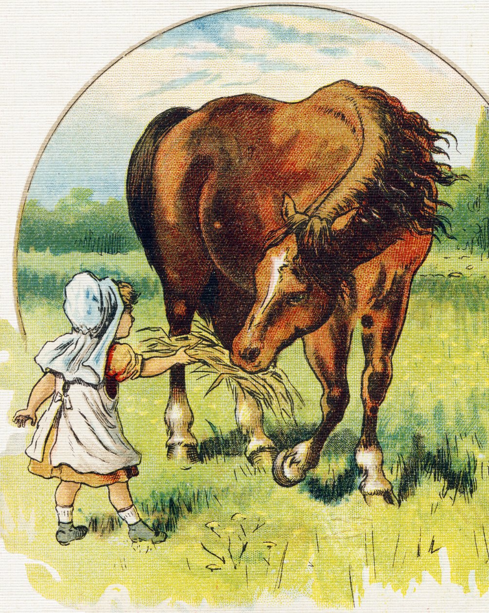 Uma menina a dar feno a um cavalo. Gravação em "ABC L