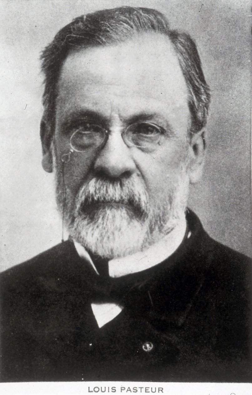 Louis Pasteur, químico e microbiologista francês, c 1885 de Unbekannter Künstler