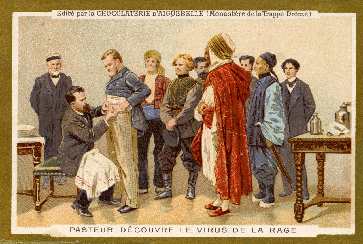 Louis Pasteur descobre o vírus da raiva de Unbekannter Künstler