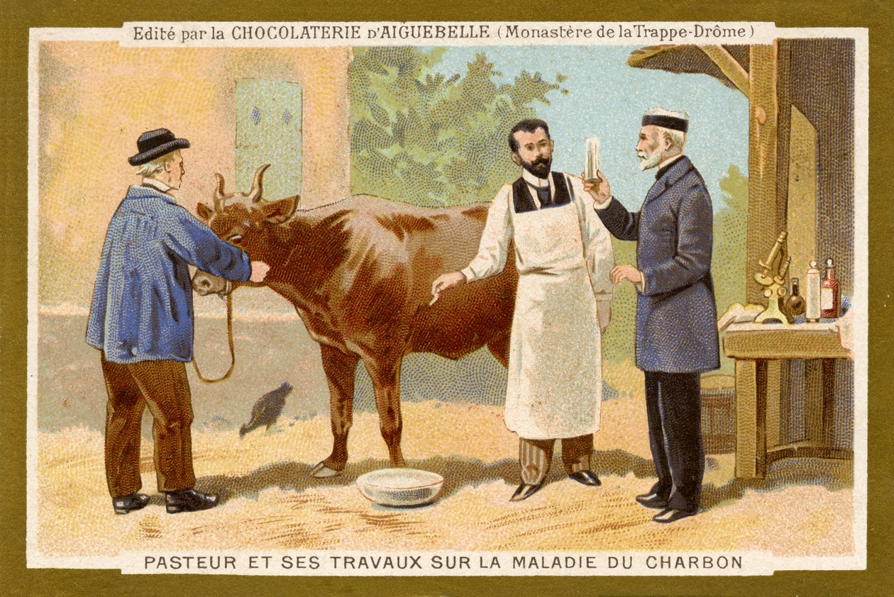 Louis Pasteur trabalha para encontrar uma cura para o Anthrax de Unbekannter Künstler