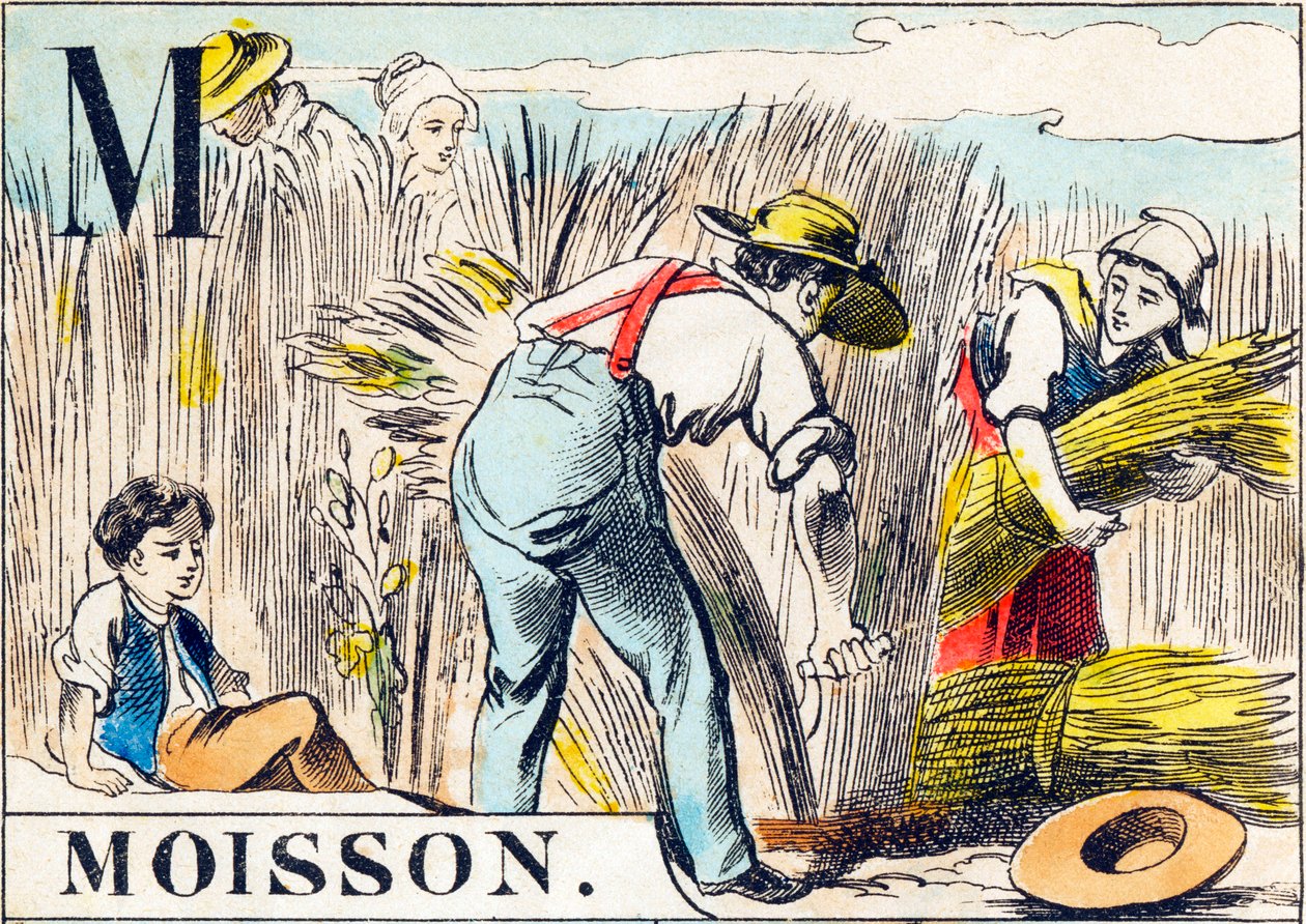 M Moisson - "Alfabeto da fazenda" final do século XIX (gravura) de Unbekannt