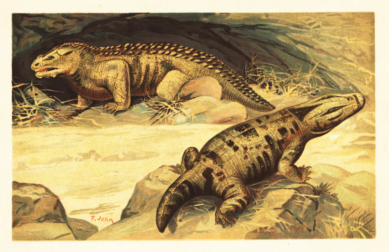 Mastodonsaurus e Pareiasaurus.1908 (litografia) de Unbekannter Künstler