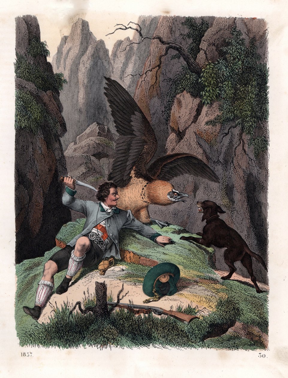 Mathias Sturz a combater um abutre barbudo com uma faca. Litografia colorida à mão do Livro do Mundo de Carl Hoffmann, Estugarda de Unbekannter Künstler