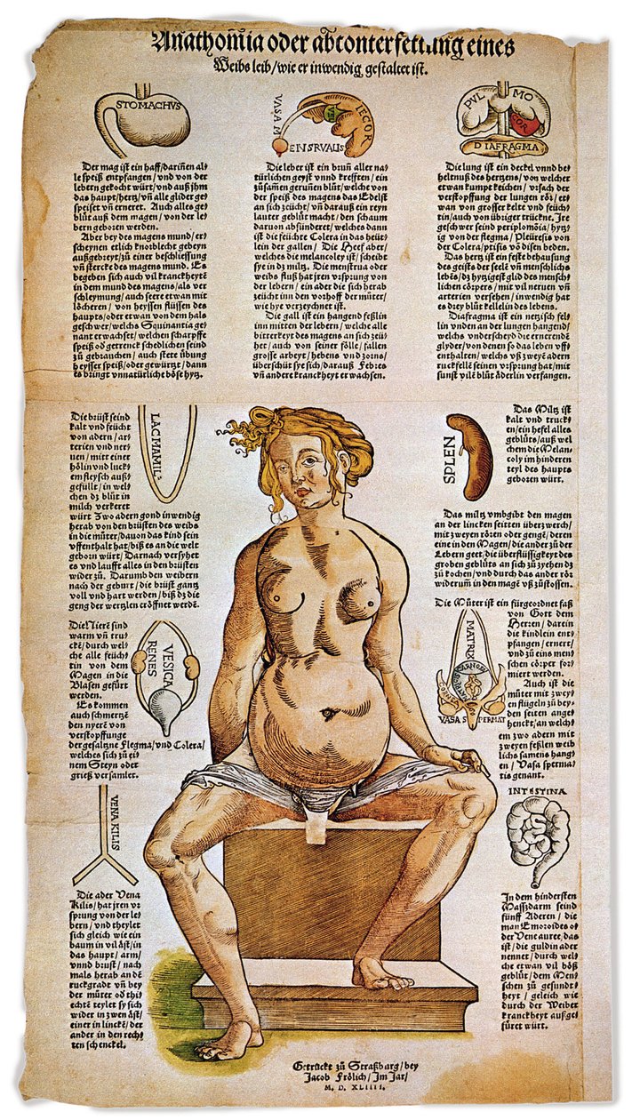 Medicina: prancha anatómica que descreve a anatomia feminina a partir de um tratado médico renascentista. Em torno da figura de uma mulher sentada, são enumerados e ilustrados órgãos vitais como o fígado, os pulmões e o diafragma, o estômago e o aparelho r de Unbekannter Künstler