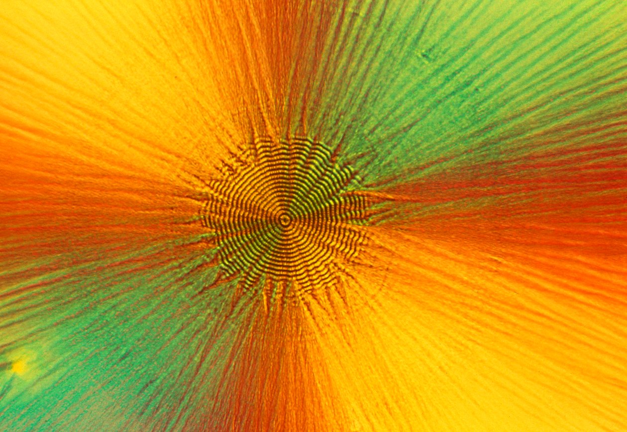Micrográficos (Luz) Ácido ascórbico, micrográfico leve de Unbekannt