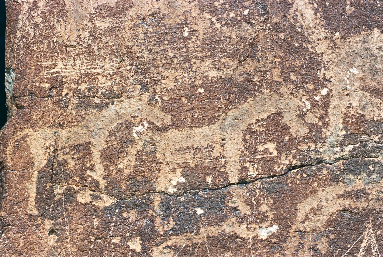 Mongólia, Deserto de Gobi, gravura rupestre de Benjamin Baud