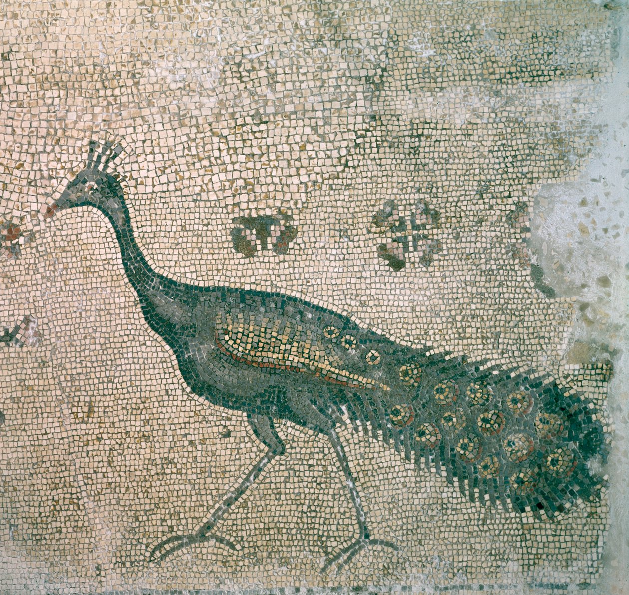 Mosaico na Igreja da Multiplicação dos Pães e dos Peixes (mosaico) de Unbekannt