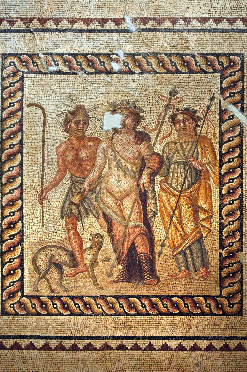 Mosaico de Dionísio de Antakya, Turquia de Unbekannt