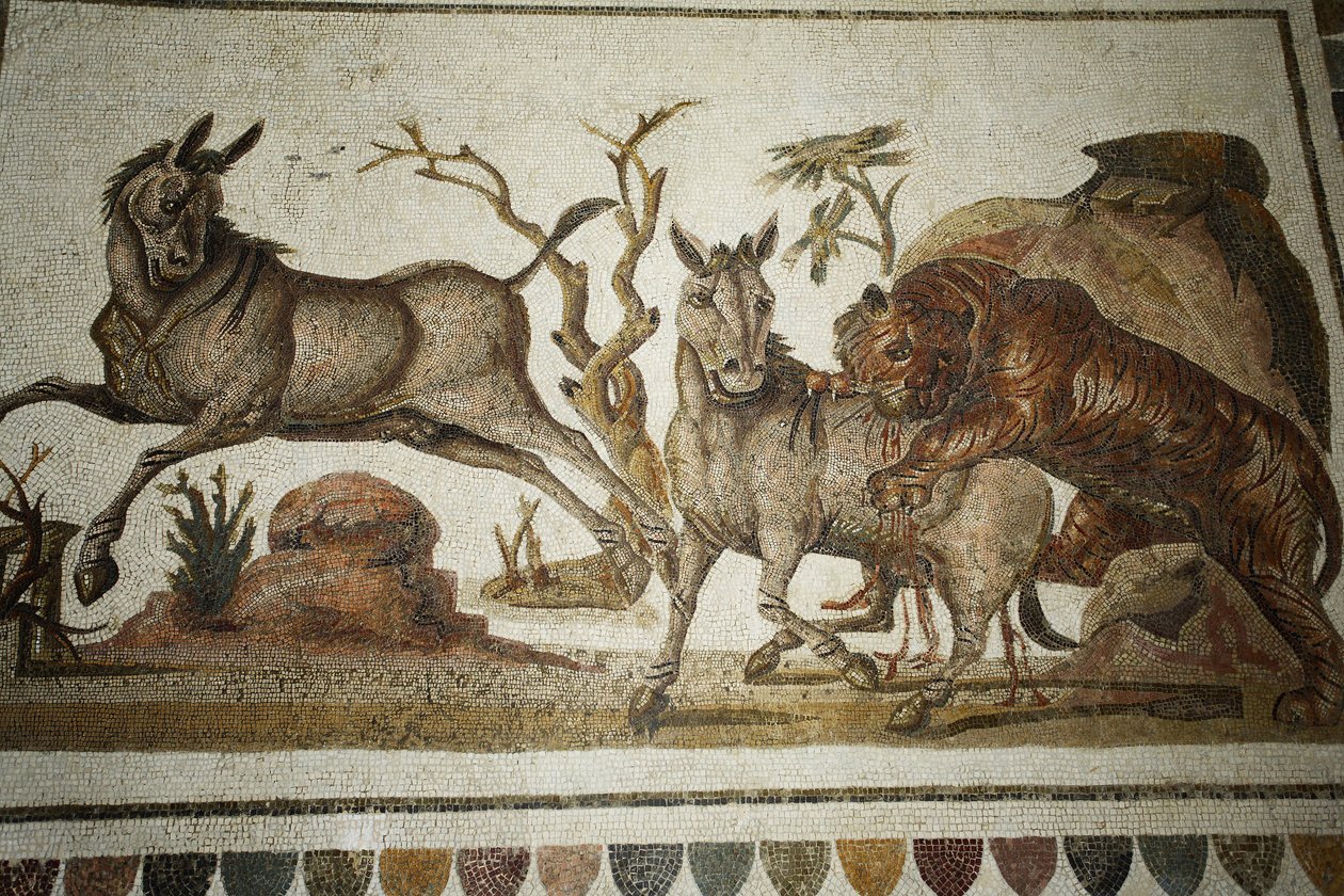 Mosaico de lutas de animais: ataque de tigre a dois primatas nocturnos. II