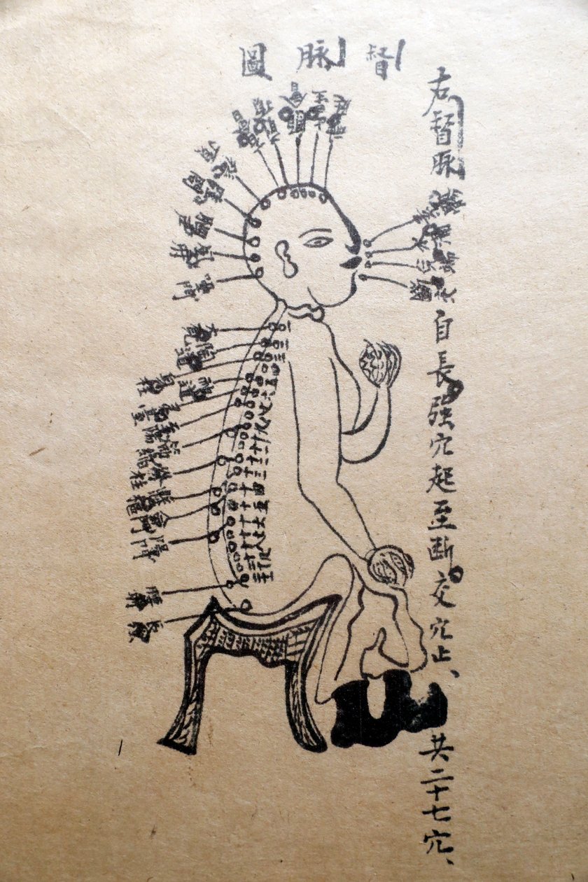 Museum of Traditional Vietnamese Medicine, The channels and vessels, Livro de acupunctura, Cidade de Ho Chi Minh, Vietname de Unbekannt