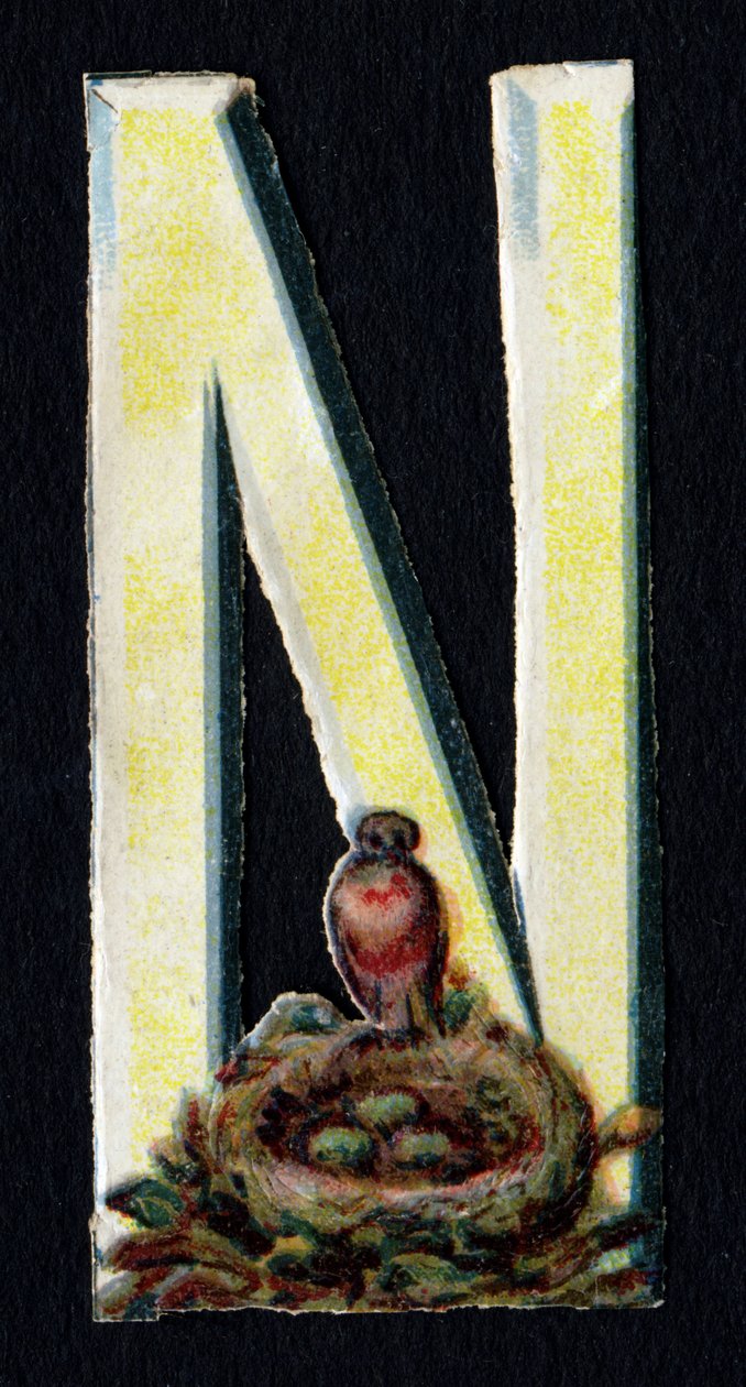 N como o Nest. Decoupis de besouro sobre o tema dos animais. Gravura. Série de 26 cromolitógrafos de waffle de origem inglesa. Editor e ilustrador desconhecido. Fim do século XIX. Dim: 5,5x3,5cm. de Unbekannt