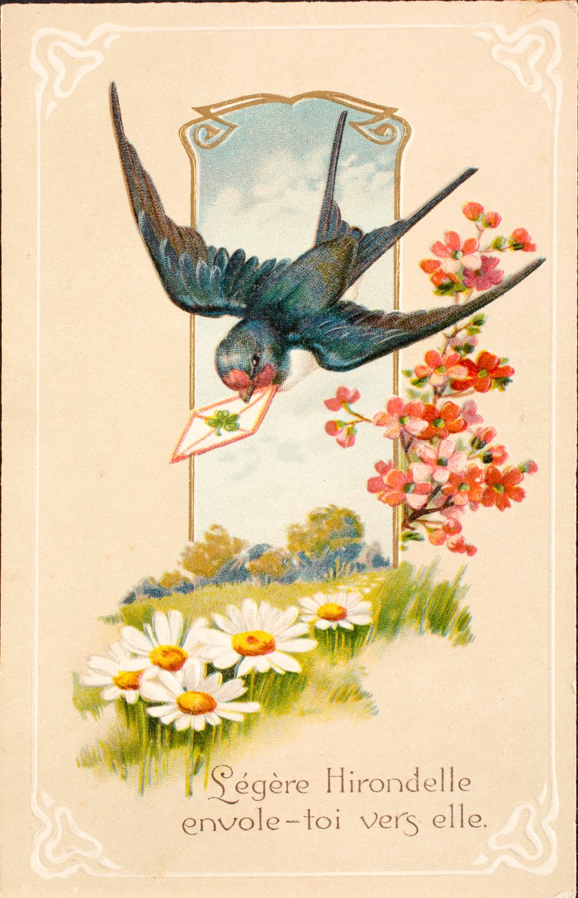 Cartão postal antigo/Swallow/Mensagem de Unbekannt
