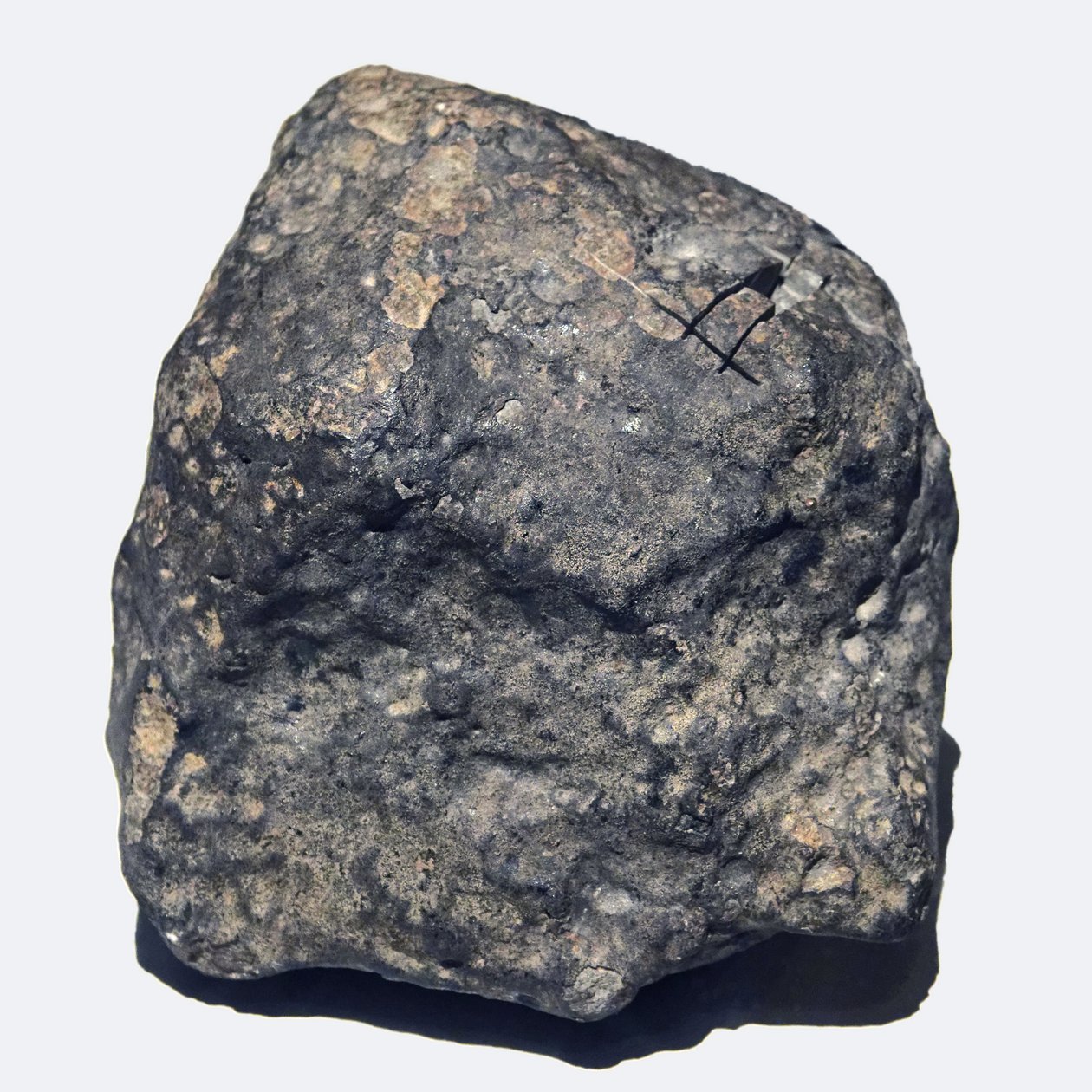 Condrite ordinário (L/LL5). Toimbee na Ucrânia, em 1866. Museu Nacional de História Natural, Paris. de Unbekannt