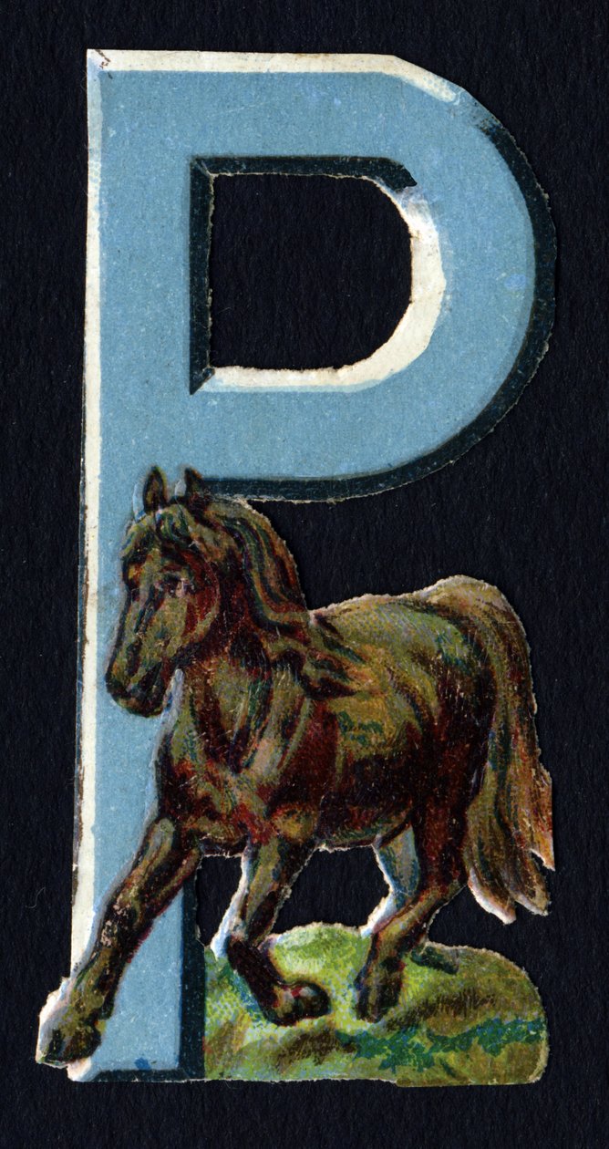 P como o Pony. Decoupis de escaravelho sobre o tema dos animais. Gravura. Série de 26 cromolitógrafos de waffle de origem inglesa. Editor e ilustrador desconhecido. Fim do século XIX. Dim: 5,5x3,5cm. de Unbekannt