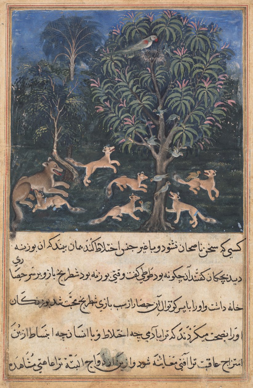 Página de Tales of a Parrot (Tuti-nama): Quinta noite: A mãe papagaio avisa seus filhotes sobre o perigo de brincar com raposas, c. 1560 (aquarela opaca, ouro e tinta sobre papel) de Unbekannt