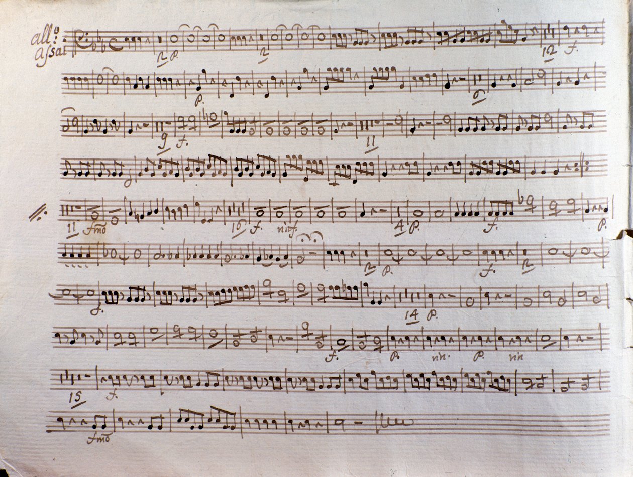 Página de partitura musical de um concertinante Sinfonia de Pleyel de Unbekannter Künstler