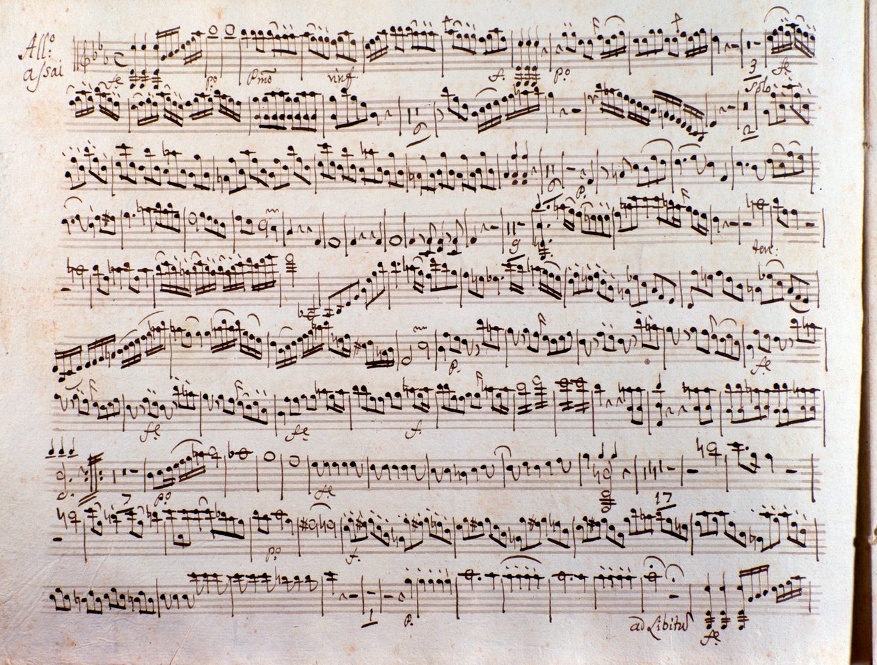 Página de partitura musical de um concertinante Sinfonia de Pleyel de Unbekannter Künstler